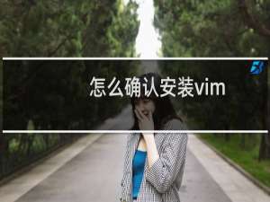 怎么确认安装vim