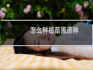 怎么种植苗圃原神