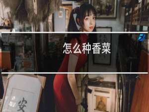 怎么种香菜（香菜种植技术）