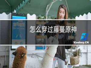 怎么穿过藤蔓原神