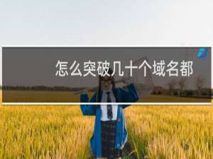 怎么突破几十个域名都被hold了