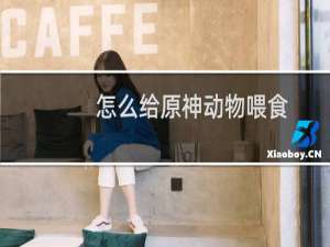 怎么给原神动物喂食