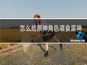 怎么给原神角色喂食雷神