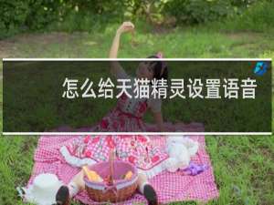 怎么给天猫精灵设置语音