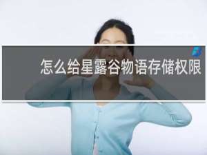 怎么给星露谷物语存储权限
