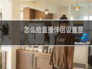 怎么给直播伴侣设置显示歌词