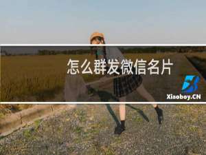 怎么群发微信名片