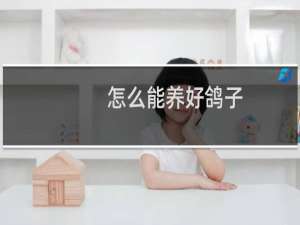 怎么能养好鸽子