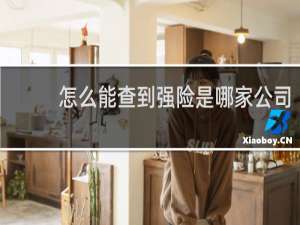 怎么能查到强险是哪家公司