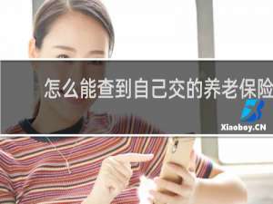 怎么能查到自己交的养老保险