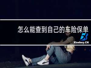 怎么能查到自己的车险保单