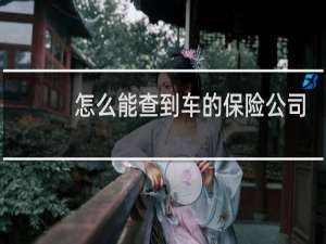 怎么能查到车的保险公司