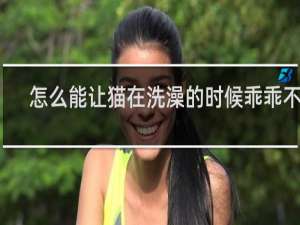 怎么能让猫在洗澡的时候乖乖不动