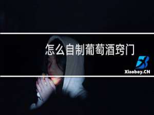 怎么自制葡萄酒窍门