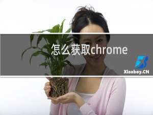 怎么获取chrome