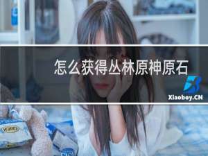 怎么获得丛林原神原石