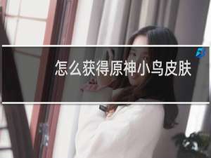 怎么获得原神小鸟皮肤