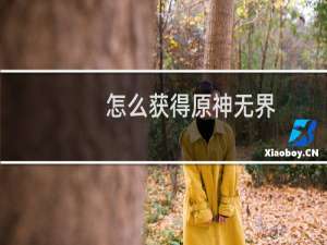 怎么获得原神无界
