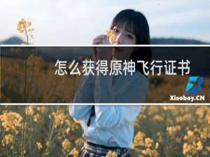 怎么获得原神飞行证书