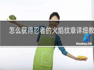 怎么获得忍者的火焰纹章详细教程