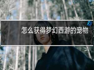 怎么获得梦幻西游的宠物