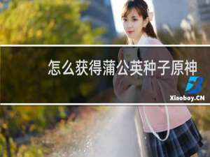 怎么获得蒲公英种子原神