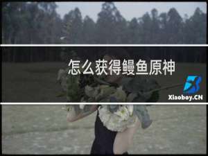 怎么获得鳗鱼原神