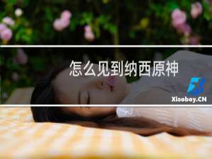 怎么见到纳西原神
