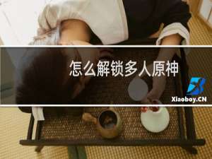 怎么解锁多人原神