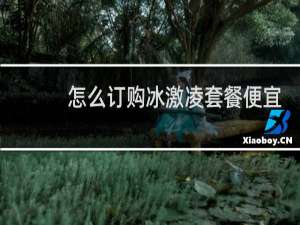 怎么订购冰激凌套餐便宜
