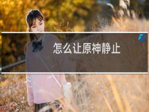 怎么让原神静止