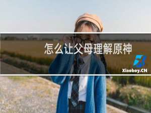 怎么让父母理解原神