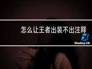 怎么让王者出装不出注释