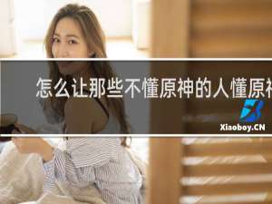 怎么让那些不懂原神的人懂原神