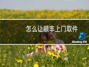 怎么让顺丰上门取件