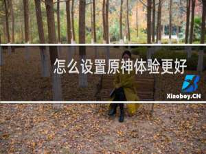 怎么设置原神体验更好