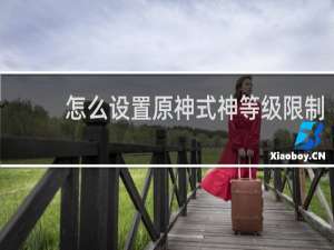 怎么设置原神式神等级限制