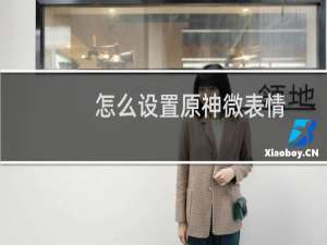 怎么设置原神微表情