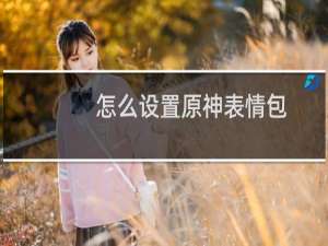 怎么设置原神表情包