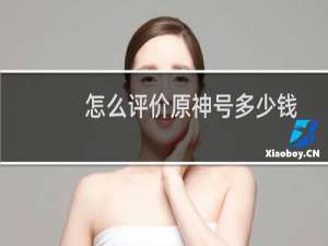 怎么评价原神号多少钱