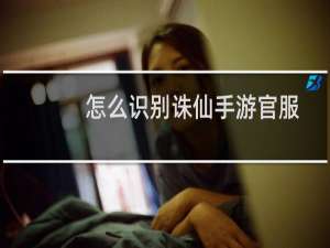 怎么识别诛仙手游官服