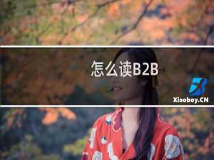 怎么读B2B