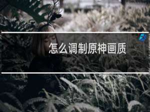 怎么调制原神画质