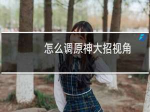 怎么调原神大招视角