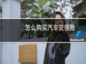 怎么购买汽车交强险