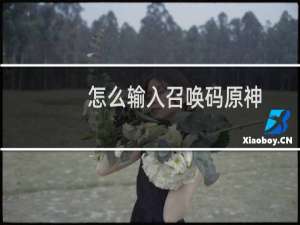 怎么输入召唤码原神
