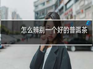 怎么辨别一个好的普洱茶