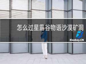 怎么过星露谷物语沙漠矿洞