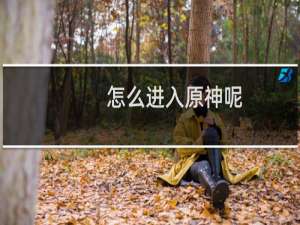 怎么进入原神呢