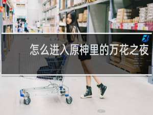 怎么进入原神里的万花之夜